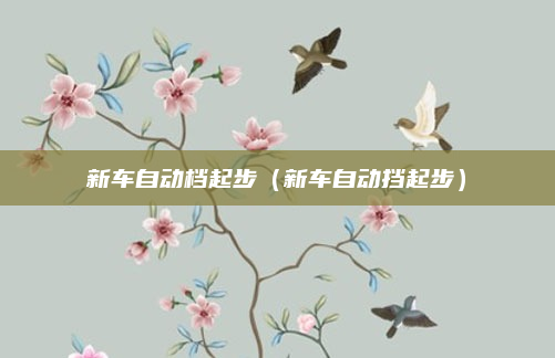 新车自动档起步（新车自动挡起步）