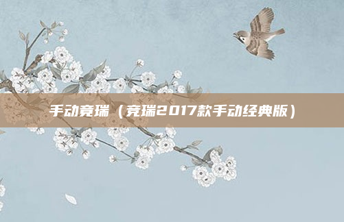 手动竟瑞（竞瑞2017款手动经典版）