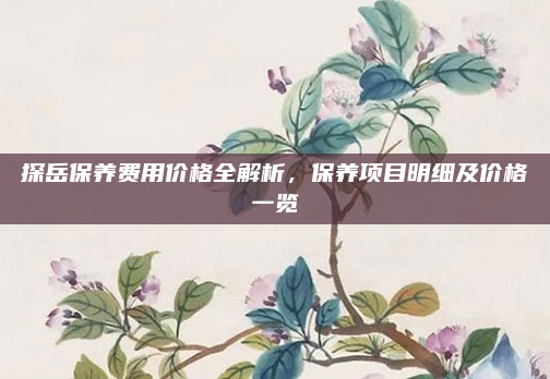 探岳保养费用价格全解析，保养项目明细及价格一览