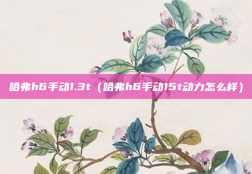 哈弗h6手动1.3t（哈弗h6手动15t动力怎么样）
