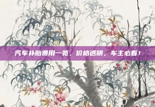 汽车补胎费用一览,价格透明,车主必看!