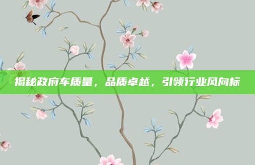 揭秘政府车质量,品质卓越,引领行业风向标