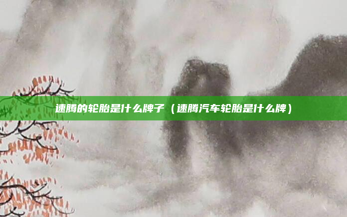 速腾的轮胎是什么牌子（速腾汽车轮胎是什么牌）