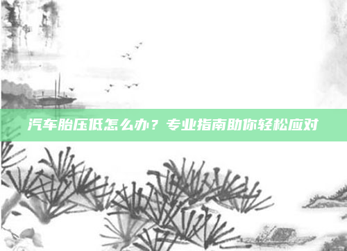 汽车胎压低怎么办？专业指南助你轻松应对