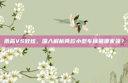 雨燕VS致炫，深入解析两款小型车质量哪家强？