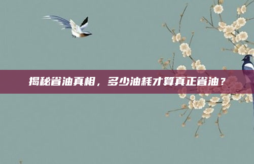 揭秘省油真相，多少油耗才算真正省油？
