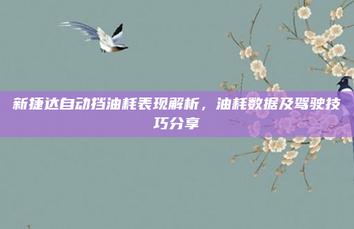 新捷达自动挡油耗表现解析,油耗数据及驾驶技巧分享