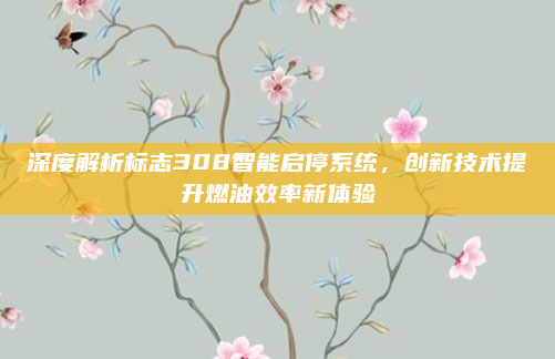 深度解析标志308智能启停系统,创新技术提升燃油效率新体验