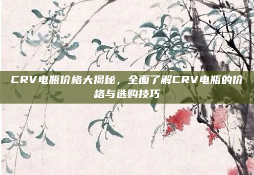 CRV电瓶价格大揭秘,全面了解CRV电瓶的价格与选购技巧