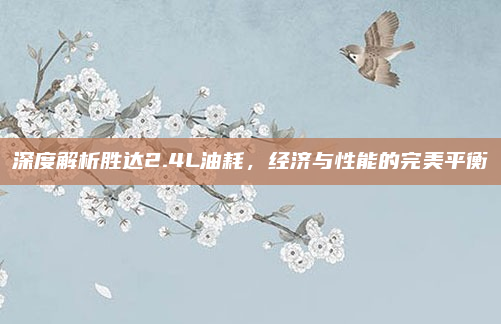 深度解析胜达2.4L油耗，经济与性能的完美平衡
