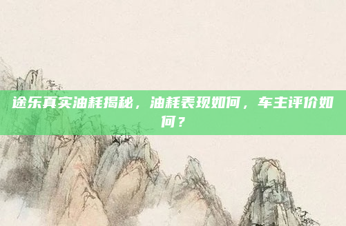 途乐真实油耗揭秘,油耗表现如何,车主评价如何?