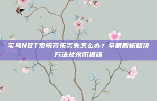 宝马NBT系统音乐丢失怎么办？全面解析解决方法及预防措施