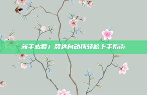 新手必看!颐达自动挡轻松上手指南