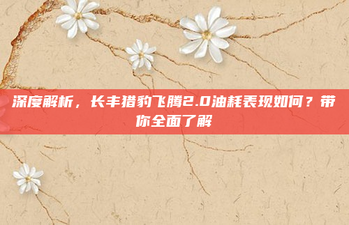 深度解析，长丰猎豹飞腾2.0油耗表现如何？带你全面了解