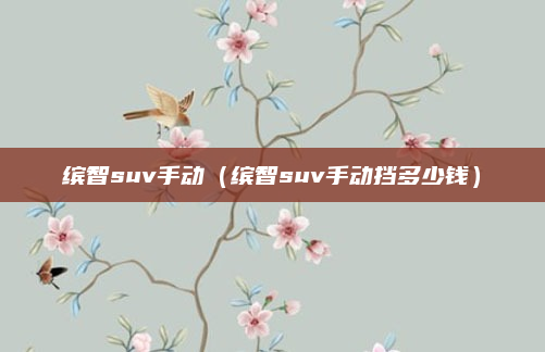 缤智suv手动（缤智suv手动挡多少钱）