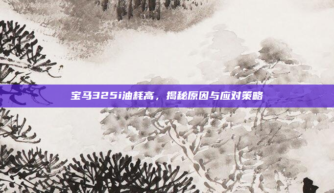 宝马325i油耗高，揭秘原因与应对策略