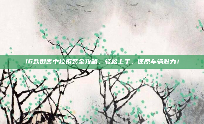 16款逍客中控拆装全攻略,轻松上手,还原车辆魅力!