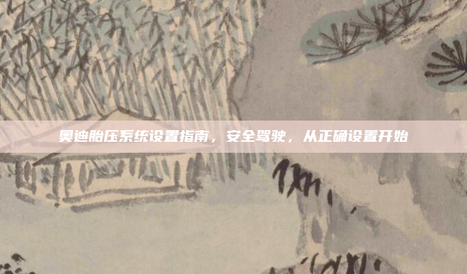 奥迪胎压系统设置指南，安全驾驶，从正确设置开始