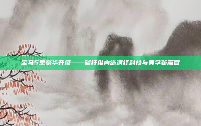 宝马5系豪华升级——碳纤维内饰演绎科技与美学新篇章