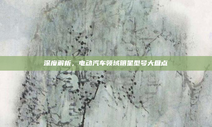 深度解析,电动汽车领域明星型号大盘点