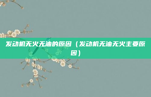 发动机无火无油的原因（发动机无油无火主要原因）