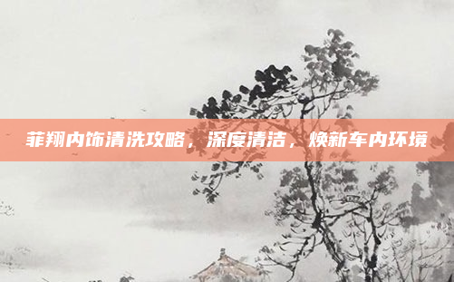 菲翔内饰清洗攻略,深度清洁,焕新车内环境