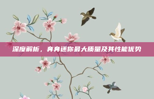 深度解析，奔奔迷你最大质量及其性能优势