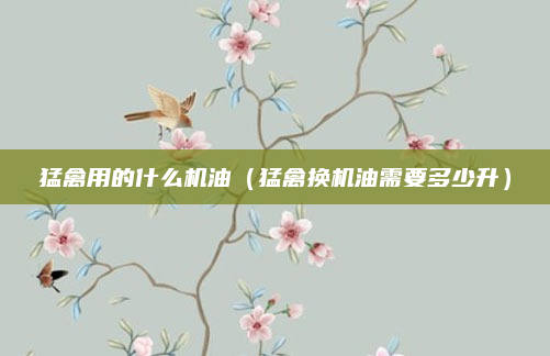 猛禽用的什么机油（猛禽换机油需要多少升）