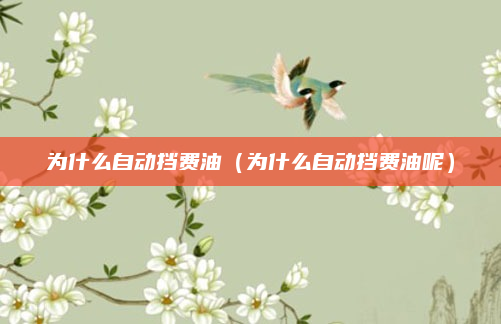 为什么自动挡费油（为什么自动挡费油呢）