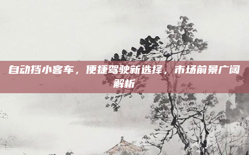 自动挡小客车，便捷驾驶新选择，市场前景广阔解析