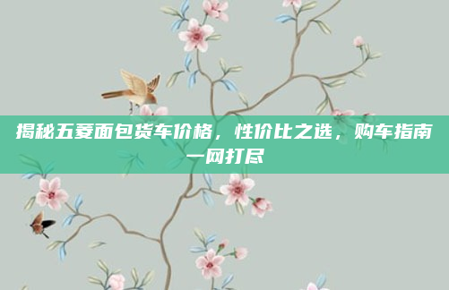 揭秘五菱面包货车价格,性价比之选,购车指南一网打尽