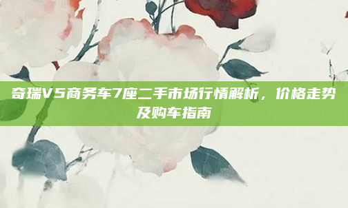 奇瑞V5商务车7座二手市场行情解析,价格走势及购车指南
