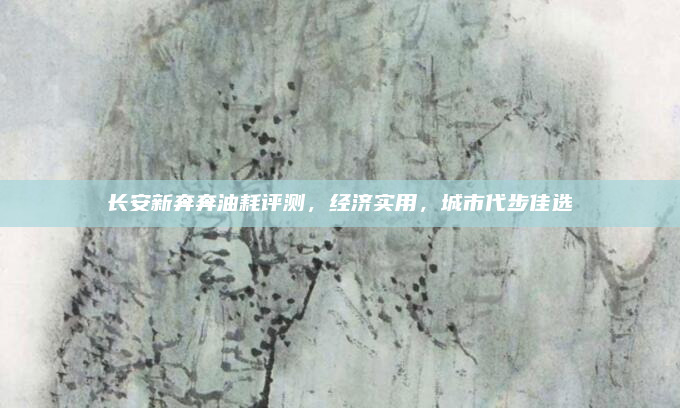长安新奔奔油耗评测,经济实用,城市代步佳选