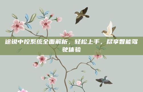 途锐中控系统全面解析,轻松上手,尽享智能驾驶体验
