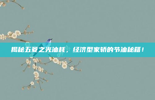 揭秘五菱之光油耗,经济型家轿的节油秘籍!