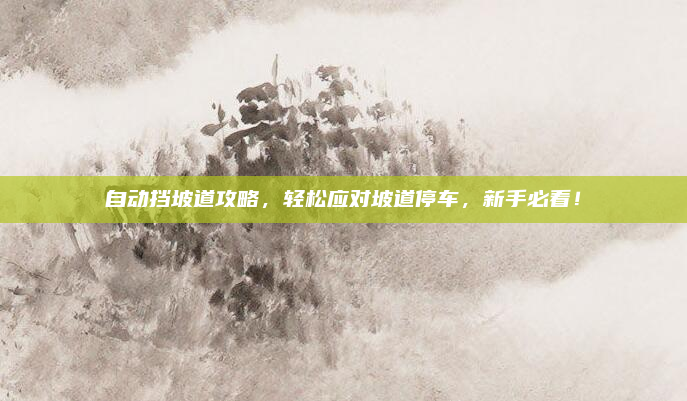 自动挡坡道攻略，轻松应对坡道停车，新手必看！
