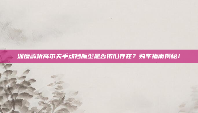 深度解析高尔夫手动挡版型是否依旧存在?购车指南揭秘!