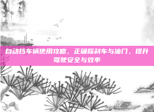自动挡车辆使用攻略，正确踩刹车与油门，提升驾驶安全与效率