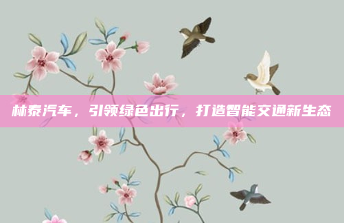 林泰汽车，引领绿色出行，打造智能交通新生态