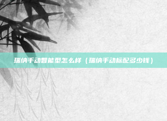 瑞纳手动智能型怎么样（瑞纳手动标配多少钱）