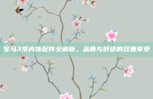 宝马3系内饰配件全解析，品质与舒适的双重享受