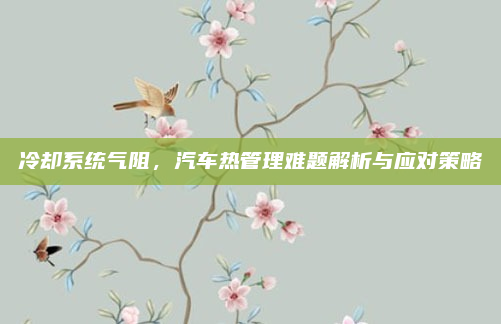 冷却系统气阻,汽车热管理难题解析与应对策略