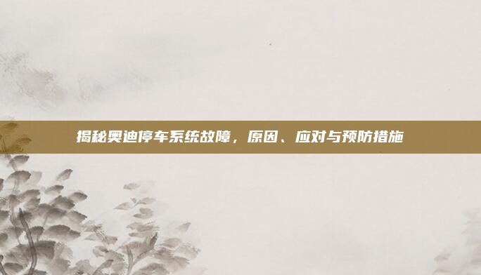 揭秘奥迪停车系统故障,原因、应对与预防措施