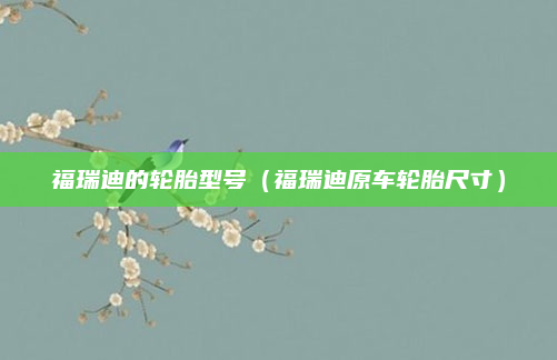 福瑞迪的轮胎型号（福瑞迪原车轮胎尺寸）