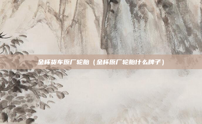 金杯货车原厂轮胎(金杯原厂轮胎什么牌子)