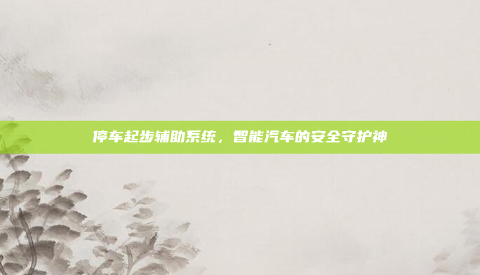 停车起步辅助系统，智能汽车的安全守护神