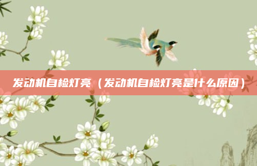 发动机自检灯亮(发动机自检灯亮是什么原因)