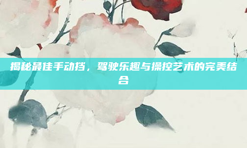 揭秘最佳手动挡，驾驶乐趣与操控艺术的完美结合