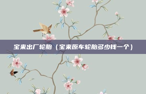宝来出厂轮胎(宝来原车轮胎多少钱一个)