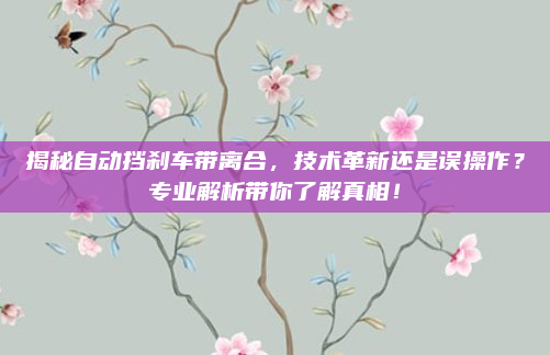 揭秘自动挡刹车带离合,技术革新还是误操作?专业解析带你了解真相!